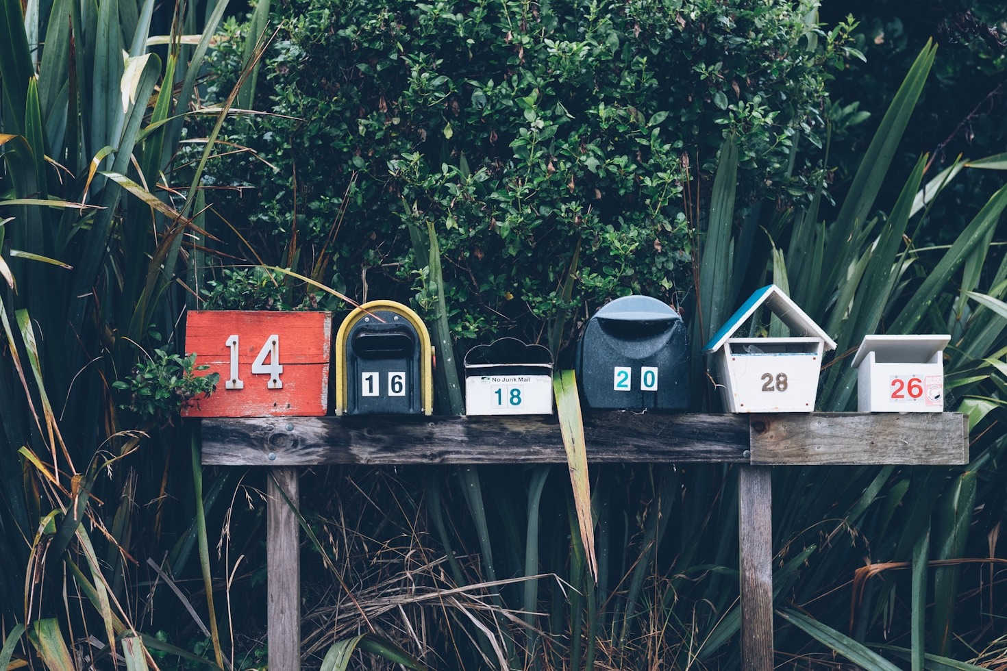 Streamlining Your Search for Key Contacts
