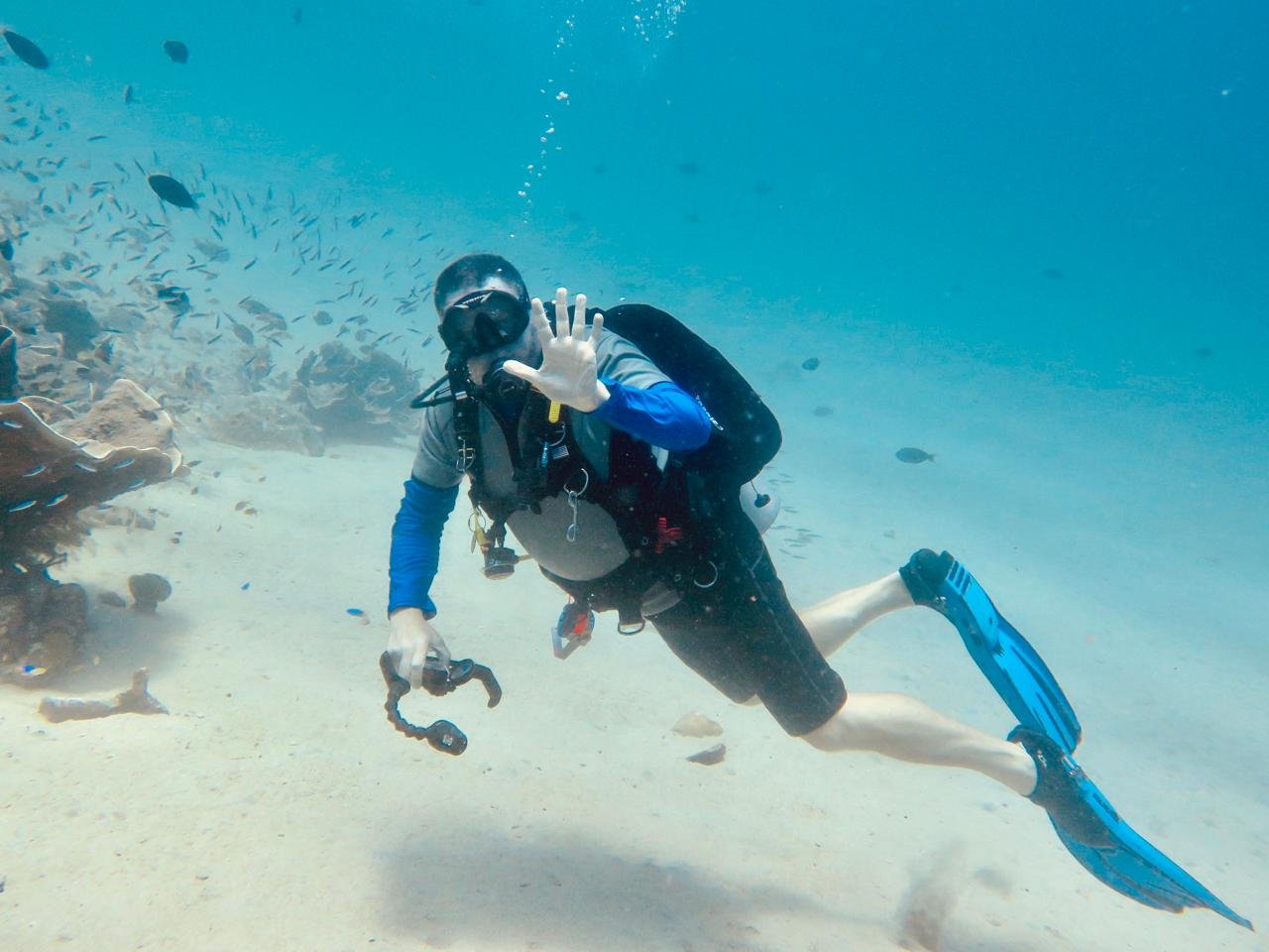 How to Become a Master Scuba Diver Trainer: Lessons From Darrell Seale