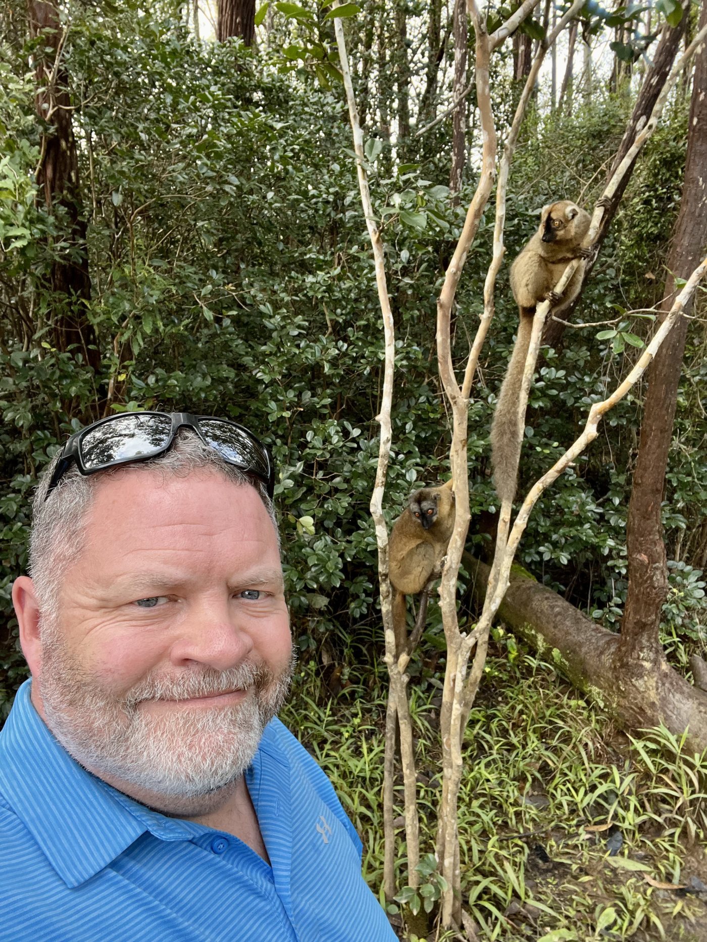 Darrell Seale in Andasibe, Madagascar (2022)